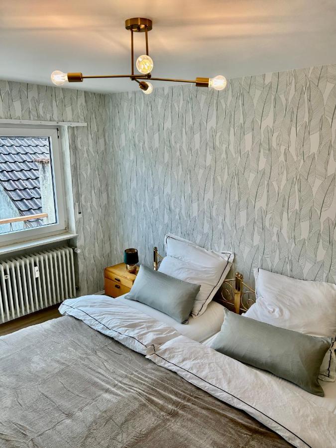 Relaxstay - Balkon - Smart-Tv - Wifi Dielheim エクステリア 写真